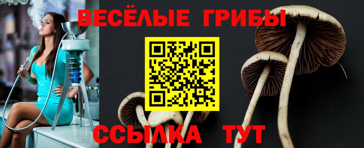 Псилоцибиновые грибы ЛСД Уссурийск