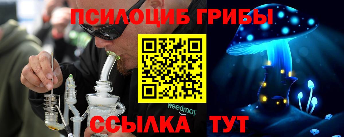 Уссурийск  Галлюциногенные грибы Psilocybe  Вход с VPN 